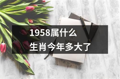 1958属什么生肖今年多大了