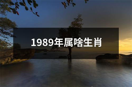 1989年属啥生肖