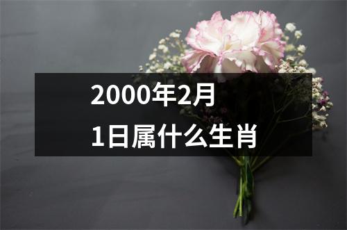 2000年2月1日属什么生肖