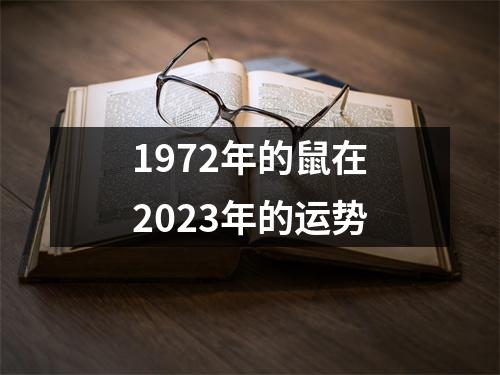 1972年的鼠在2023年的运势