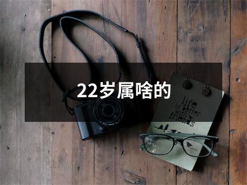 22岁属啥的