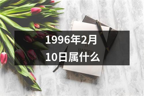 1996年2月10日属什么