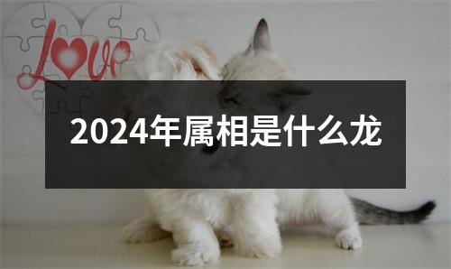 2024年属相是什么龙