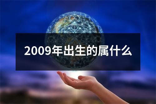 2009年出生的属什么