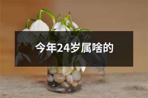 今年24岁属啥的