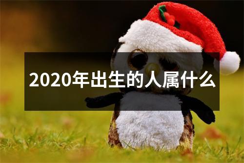 2020年出生的人属什么