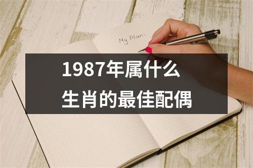 1987年属什么生肖的最佳配偶