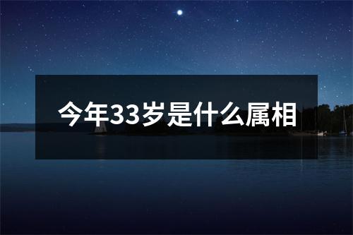 今年33岁是什么属相