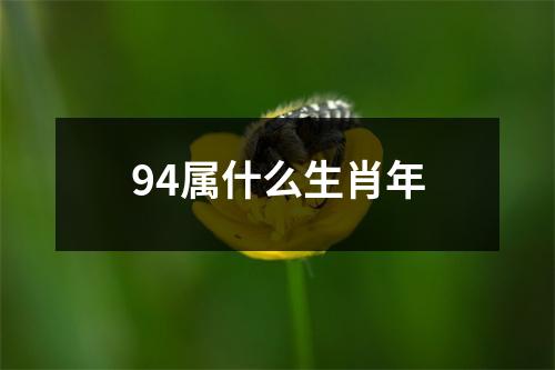 94属什么生肖年