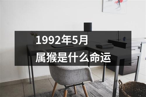 1992年5月属猴是什么命运