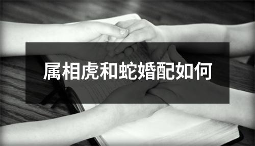 属相虎和蛇婚配如何