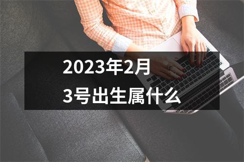 2023年2月3号出生属什么