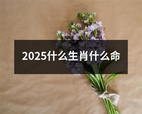 2025什么生肖什么命