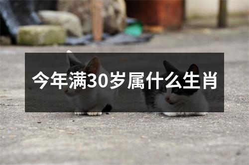 今年满30岁属什么生肖