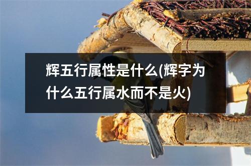 辉五行属性是什么(辉字为什么五行属水而不是火)