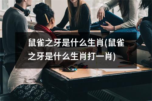 鼠雀之牙是什么生肖(鼠雀之牙是什么生肖打一肖)