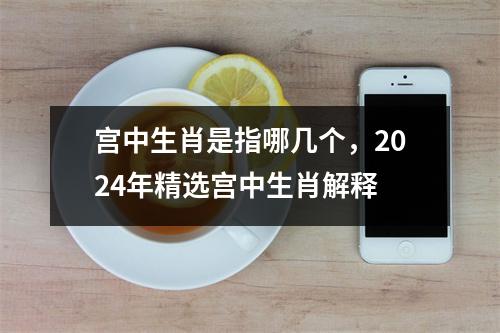 宫中生肖是指哪几个，2024年精选宫中生肖解释