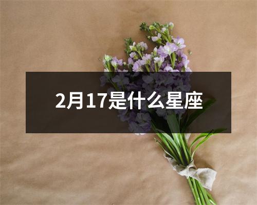 2月17是什么星座