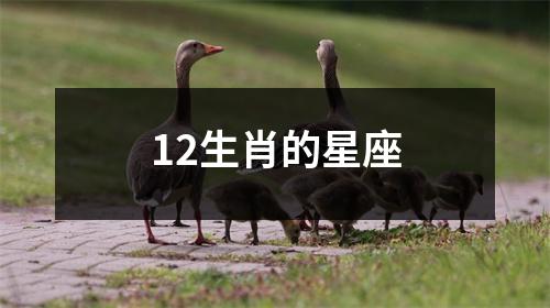 12生肖的星座