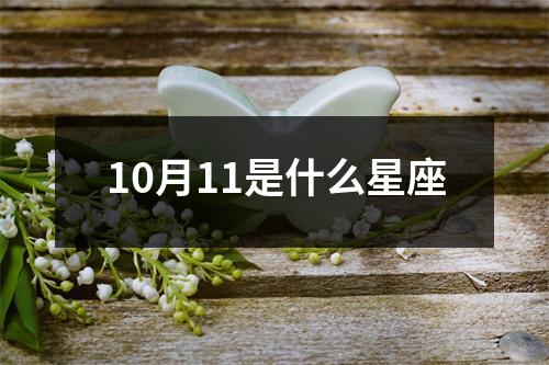 10月11是什么星座