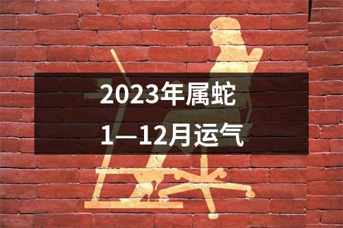 2023年属蛇1—12月运气