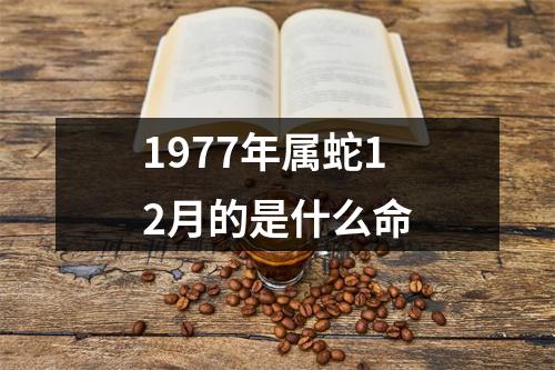 1977年属蛇12月的是什么命