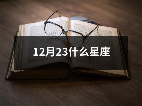 12月23什么星座