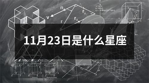 11月23日是什么星座