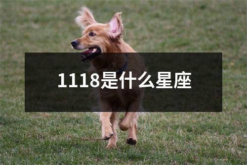 1118是什么星座