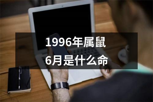 1996年属鼠6月是什么命