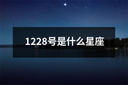 1228号是什么星座