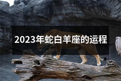 2023年蛇白羊座的运程