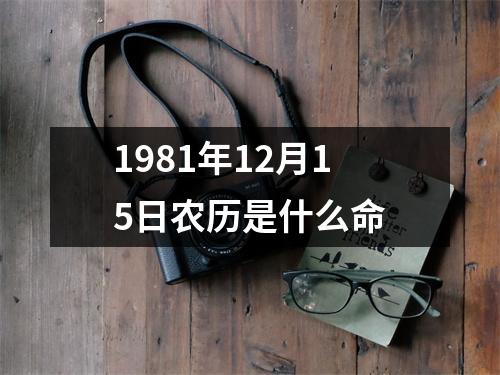 1981年12月15日农历是什么命