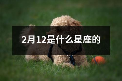 2月12是什么星座的