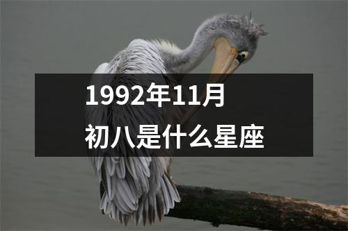 1992年11月初八是什么星座