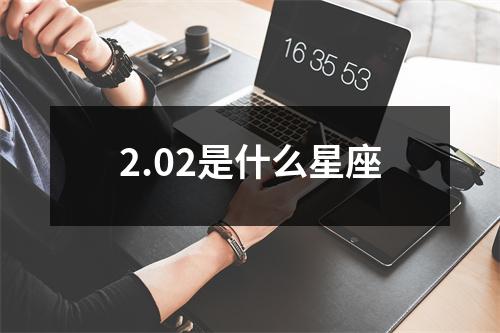 2.02是什么星座