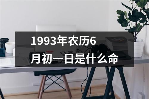 1993年农历6月初一日是什么命