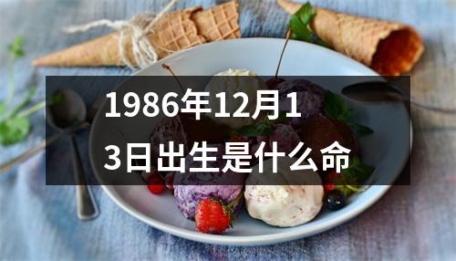 1986年12月13日出生是什么命