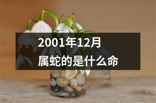 2001年12月属蛇的是什么命