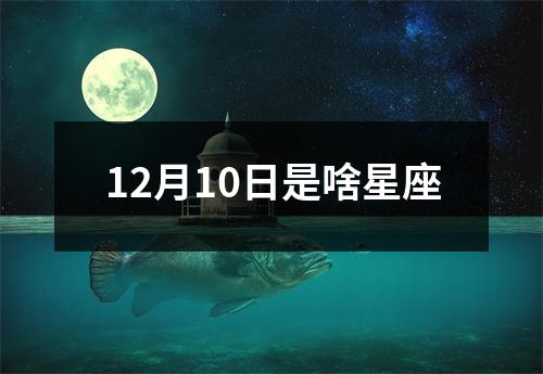 12月10日是啥星座