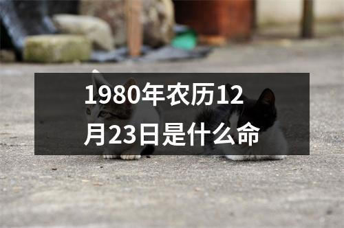 1980年农历12月23日是什么命