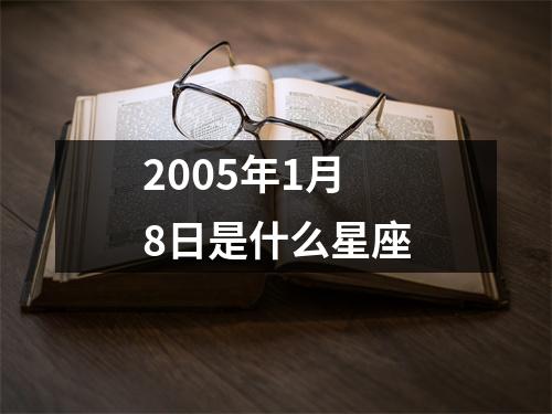 2005年1月8日是什么星座