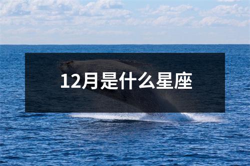 12月是什么星座