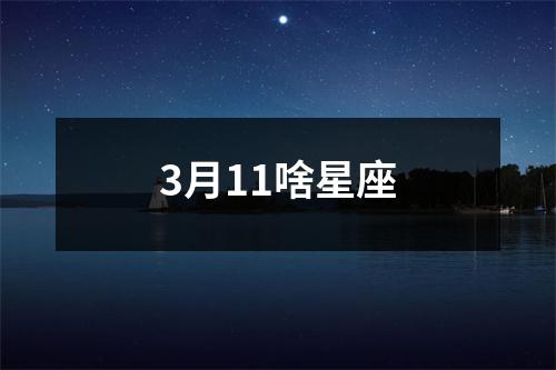 3月11啥星座