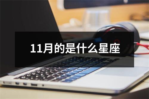 11月的是什么星座