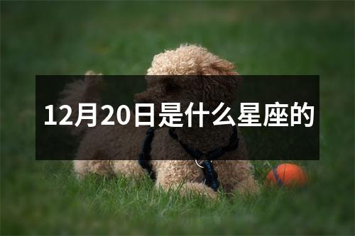 12月20日是什么星座的