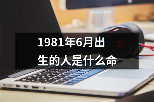 1981年6月出生的人是什么命