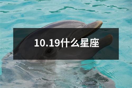 10.19什么星座