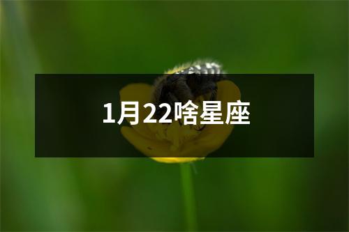 1月22啥星座