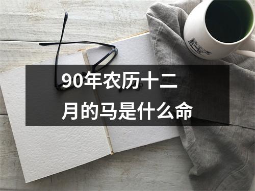 90年农历十二月的马是什么命